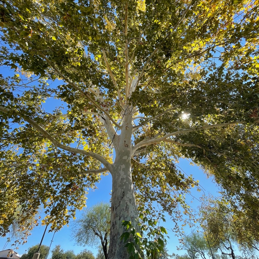 Meet your Posher, Nataly